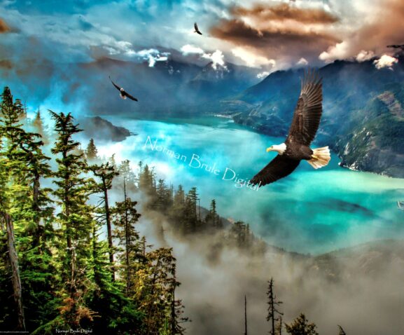 The beauty and majesty of eagles flying in nature Thanks to alex guillaume at unsplash and piqsels.com, Art by Norman Brule