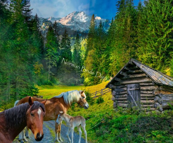 Serene country scene with horses