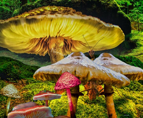 A praying mantis hides behind a mushroom in a rich and beautiful nature setting